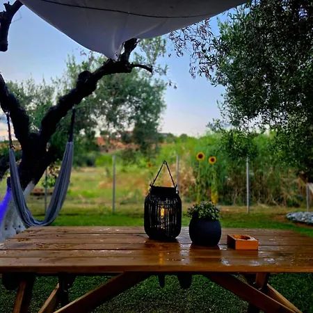 شقة Berries Luxury