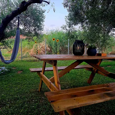 Apartament Berries Luxury *